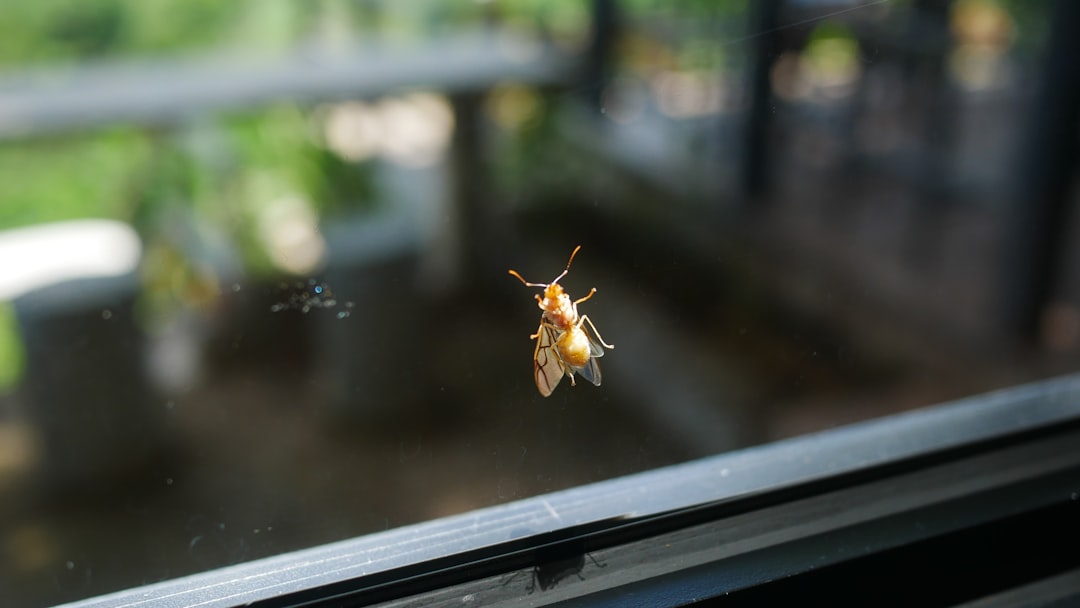AI-Driven Code Reviews: Catching Bugs Early
