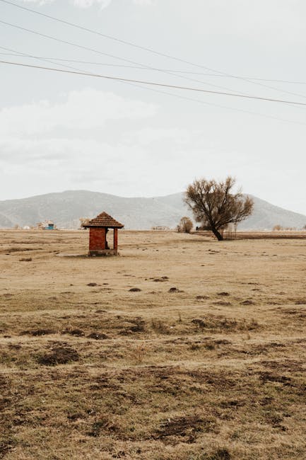 Beyond Prompting: The Power of MCPs